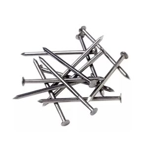 Clavos Punta París
